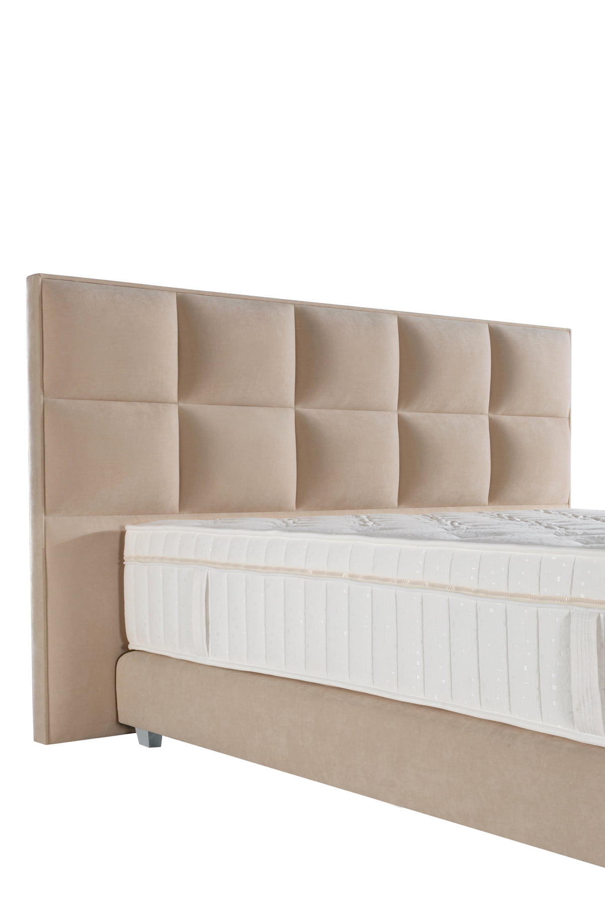 Boxspringbett Magnum Plus in Creme (200x200cm)